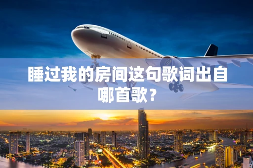睡过我的房间这句歌词出自哪首歌？