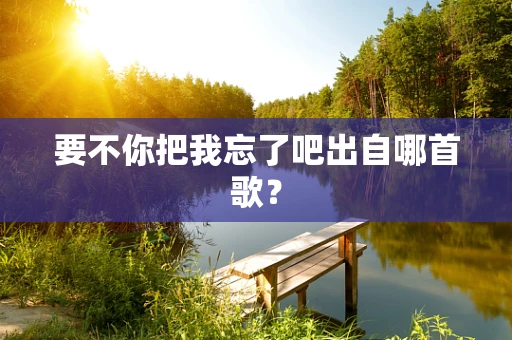 要不你把我忘了吧出自哪首歌？