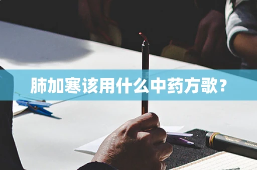 肺加寒该用什么中药方歌？