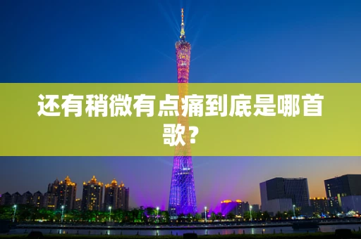 还有稍微有点痛到底是哪首歌？