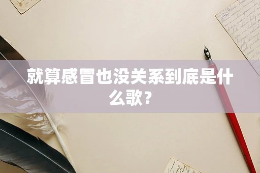 就算感冒也没关系到底是什么歌？