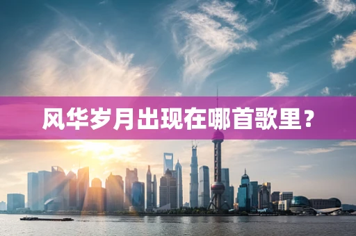 风华岁月出现在哪首歌里？