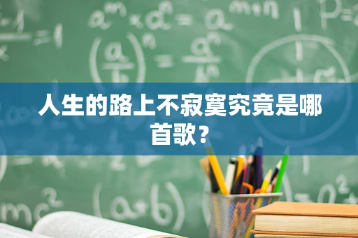 人生的路上不寂寞究竟是哪首歌？
