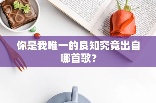你是我唯一的良知究竟出自哪首歌？