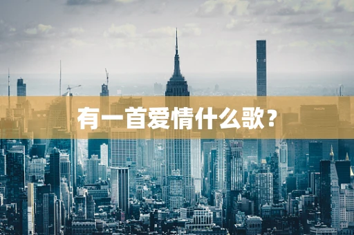 有一首爱情什么歌？