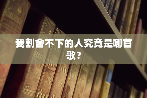 我割舍不下的人究竟是哪首歌？