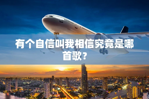 有个自信叫我相信究竟是哪首歌？