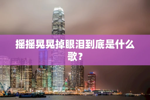 摇摇晃晃掉眼泪到底是什么歌？
