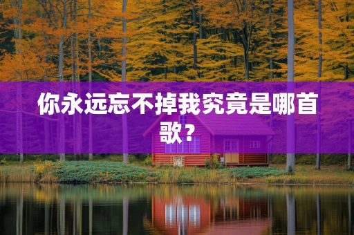 你永远忘不掉我究竟是哪首歌？