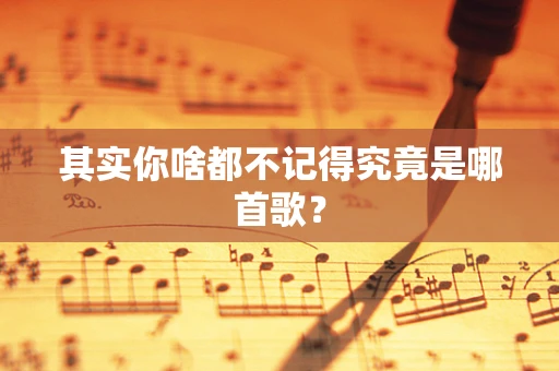其实你啥都不记得究竟是哪首歌？