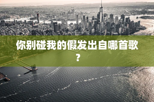 你别碰我的假发出自哪首歌？