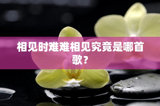 相见时难难相见究竟是哪首歌？