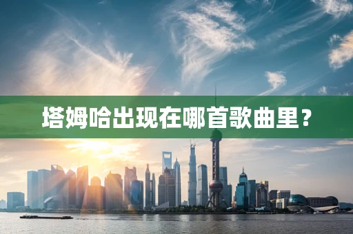 塔姆哈出现在哪首歌曲里？