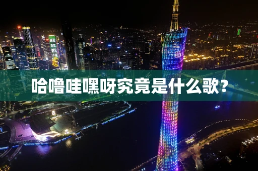 哈噜哇嘿呀究竟是什么歌？