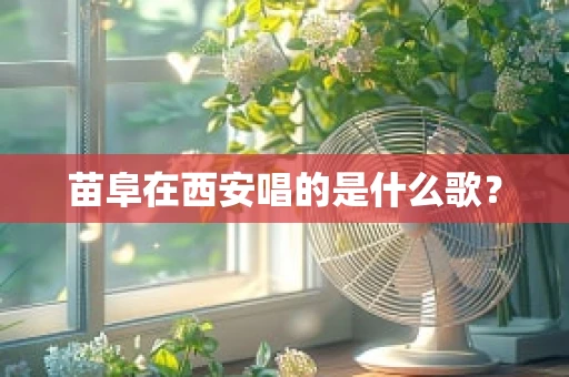 苗阜在西安唱的是什么歌？
