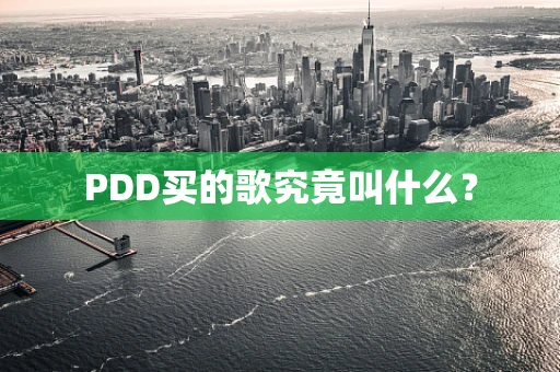 PDD买的歌究竟叫什么？