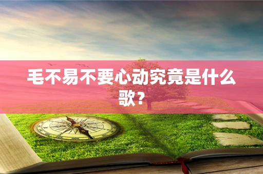 毛不易不要心动究竟是什么歌？