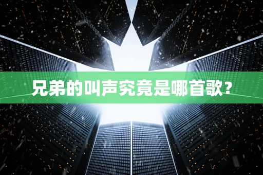 兄弟的叫声究竟是哪首歌？