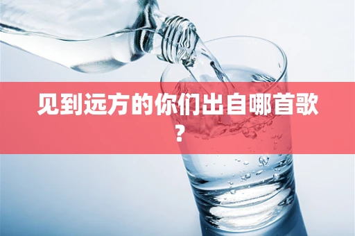 见到远方的你们出自哪首歌？