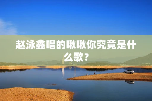 赵泳鑫唱的啾啾你究竟是什么歌？