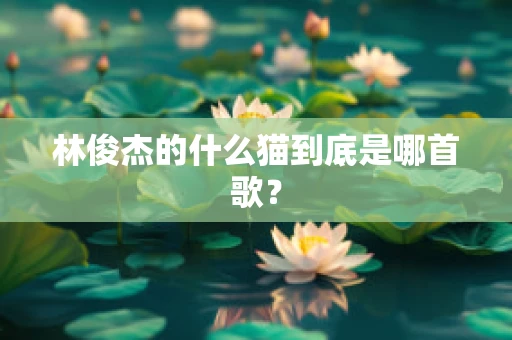 林俊杰的什么猫到底是哪首歌？