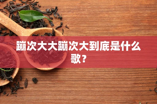 蹦次大大蹦次大到底是什么歌？