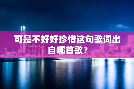可是不好好珍惜这句歌词出自哪首歌？