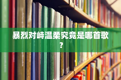 暴烈对峙温柔究竟是哪首歌？