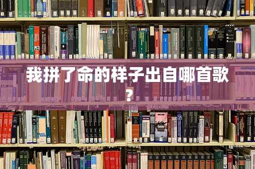 我拼了命的样子出自哪首歌？