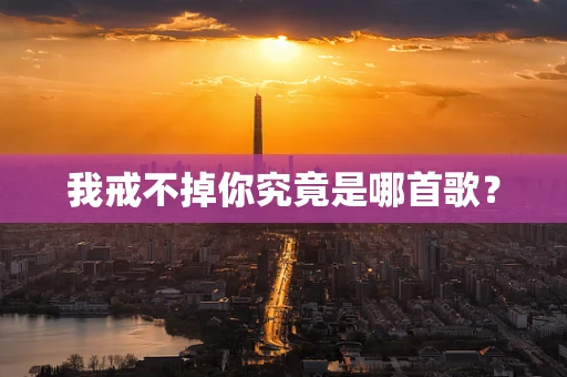我戒不掉你究竟是哪首歌？