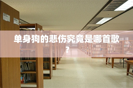 单身狗的悲伤究竟是哪首歌？