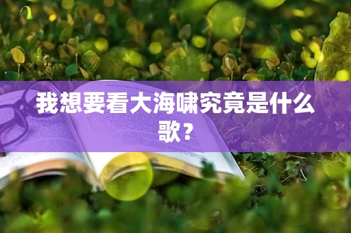 我想要看大海啸究竟是什么歌？