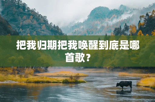 把我归期把我唤醒到底是哪首歌？