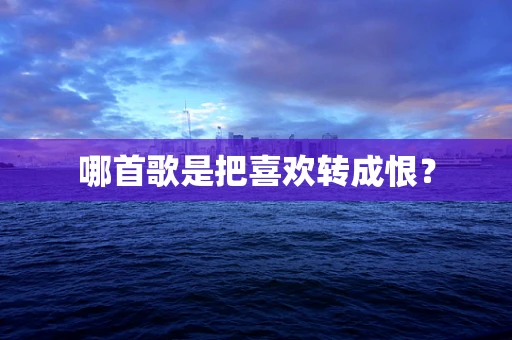 哪首歌是把喜欢转成恨？