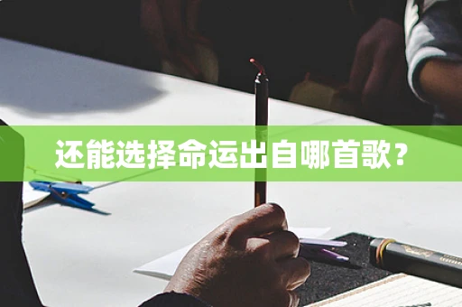 还能选择命运出自哪首歌？