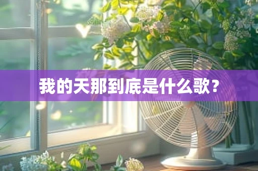 我的天那到底是什么歌？