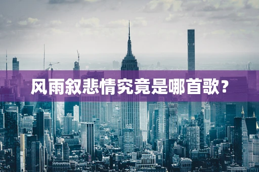风雨叙悲情究竟是哪首歌？
