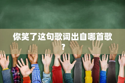 你笑了这句歌词出自哪首歌？