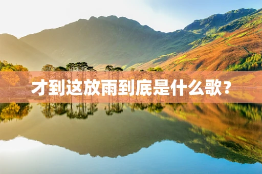 才到这放雨到底是什么歌？