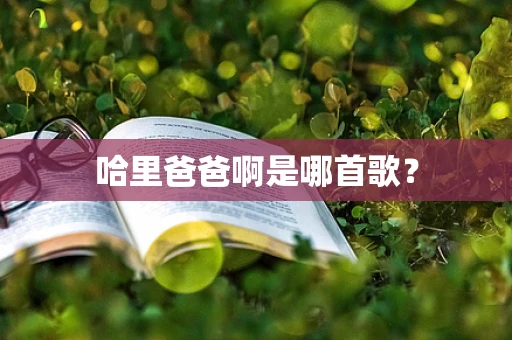 哈里爸爸啊是哪首歌？