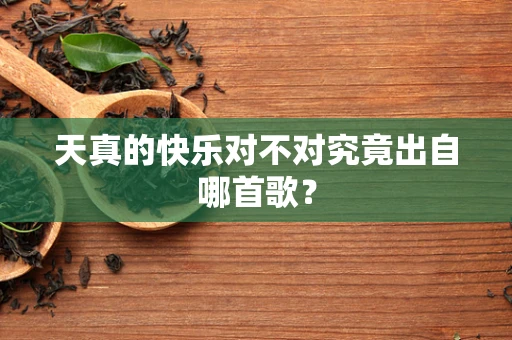 天真的快乐对不对究竟出自哪首歌？