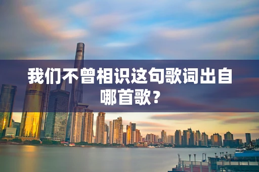 我们不曾相识这句歌词出自哪首歌？