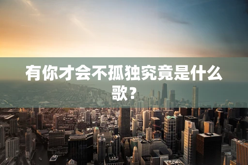 有你才会不孤独究竟是什么歌？