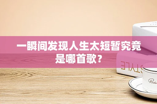一瞬间发现人生太短暂究竟是哪首歌？