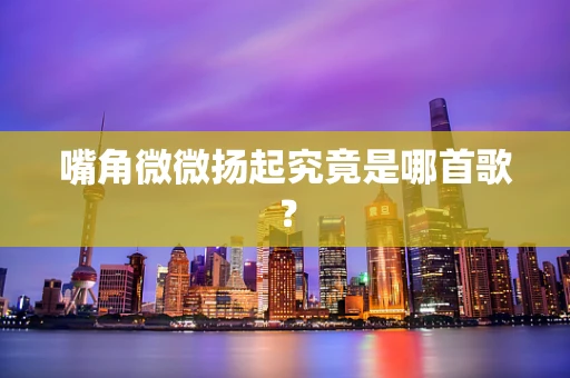 嘴角微微扬起究竟是哪首歌？