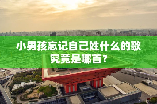 小男孩忘记自己姓什么的歌究竟是哪首？