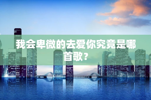 我会卑微的去爱你究竟是哪首歌？