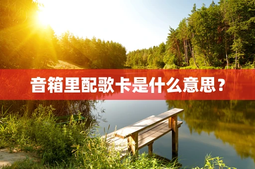 音箱里配歌卡是什么意思？