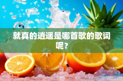 就真的逍遥是哪首歌的歌词呢？