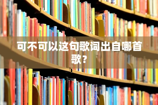 可不可以这句歌词出自哪首歌？